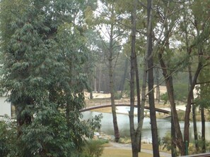 A bridge over a body of water surrounded by trees. - Green Park Punta 2 (Punta Ballena)