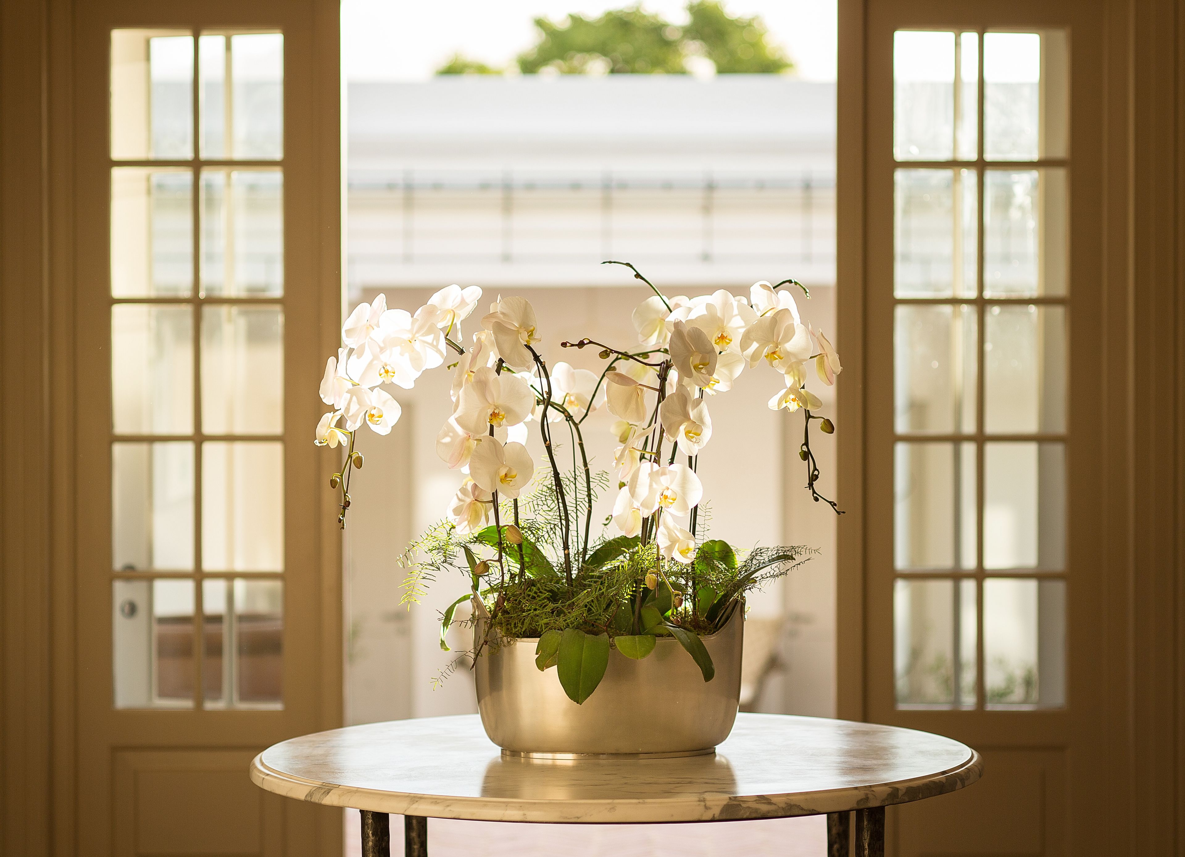 A round table with a metallic bowl containing white orchids and green foliage.