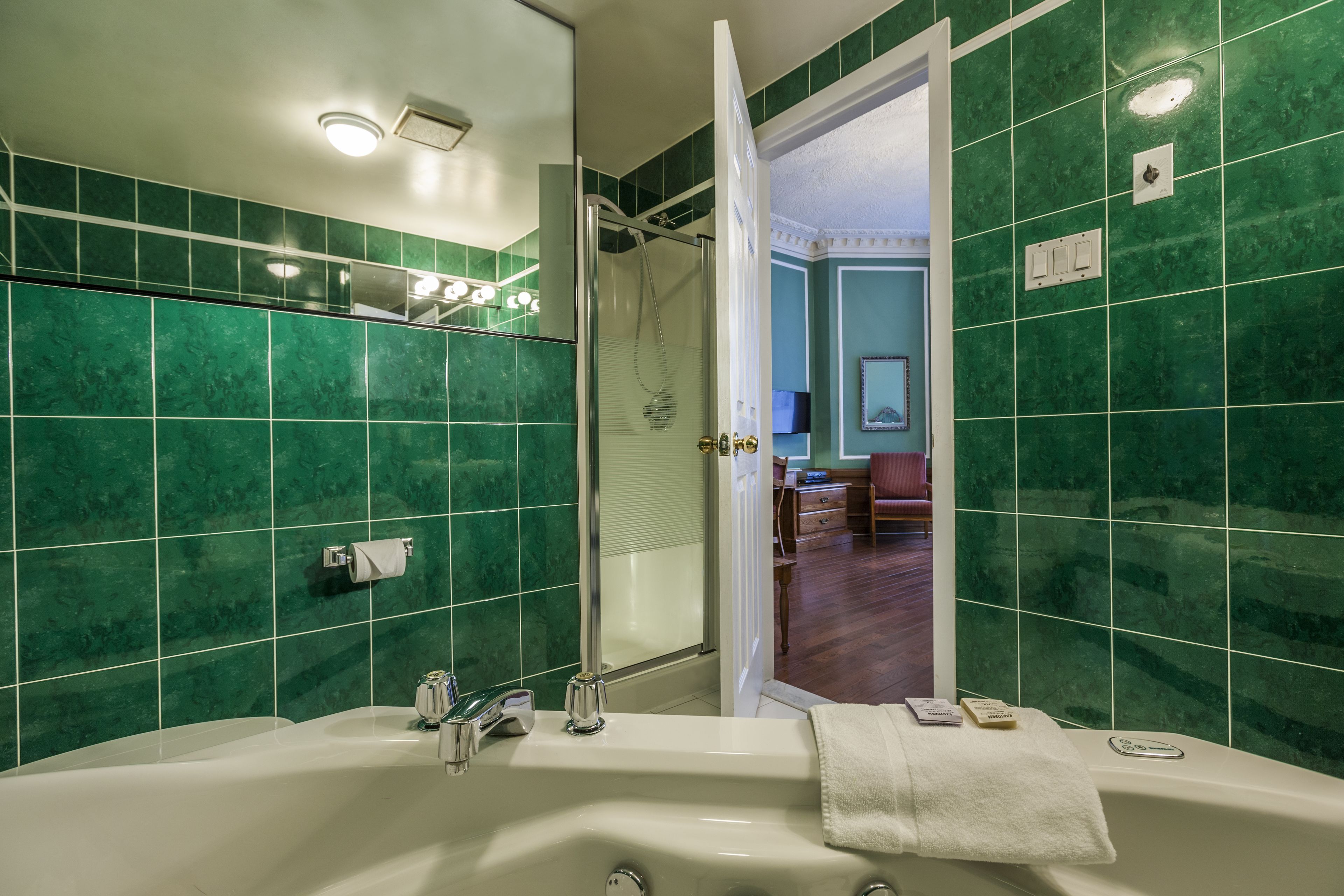 spacious room, 1 queen bed, jetted tub | bathroom | free toiletries, hair dryer, towels