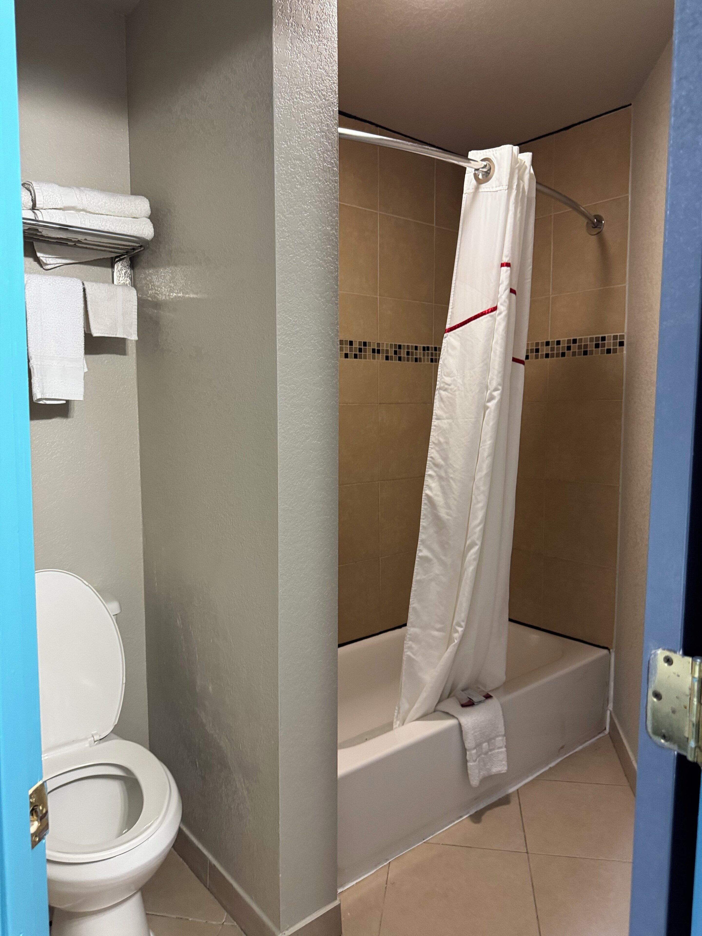 A bathroom with a toilet, a bathtub, and a shower curtain.