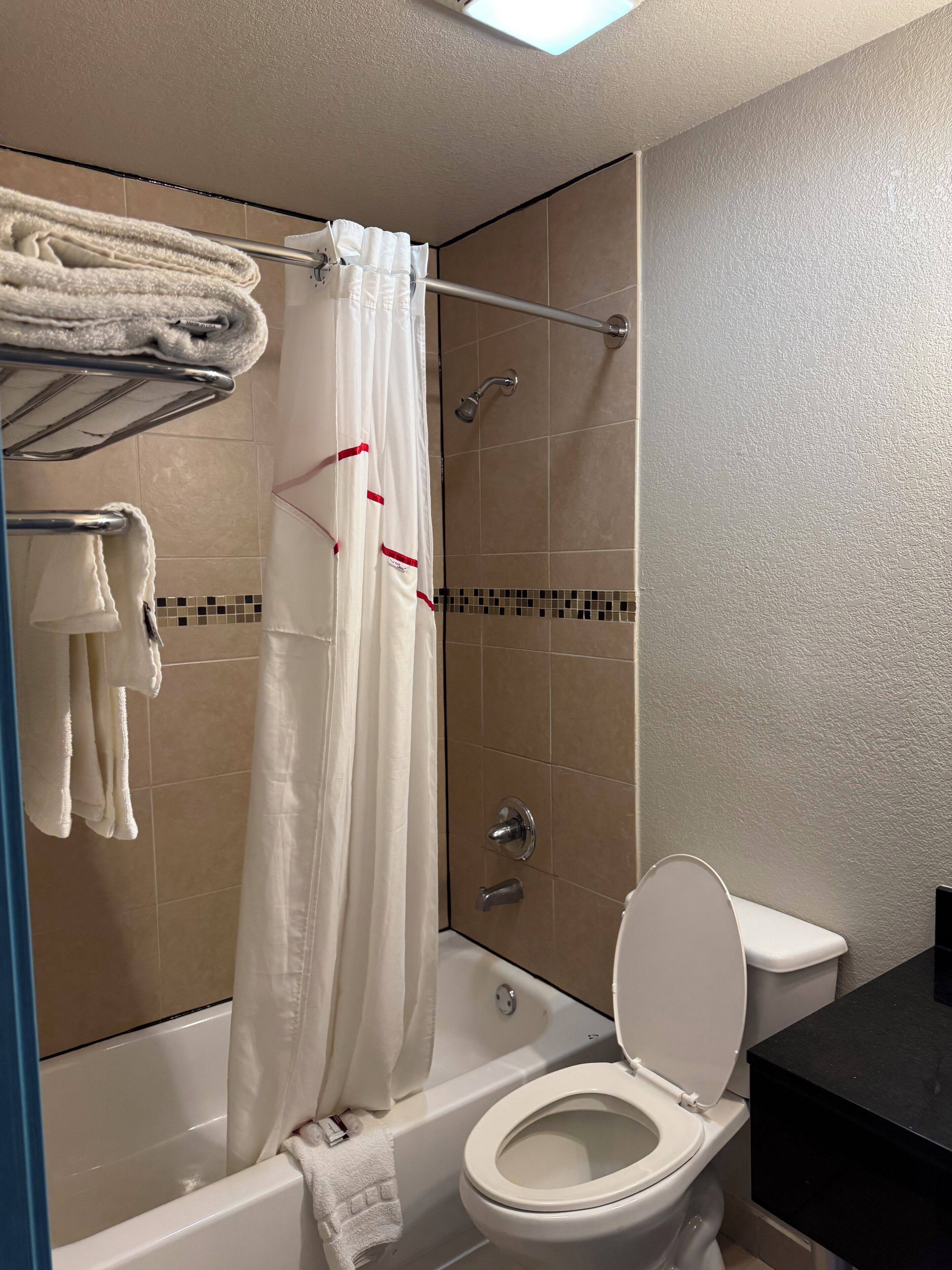 A bathroom with a bathtub, toilet, and shower curtain.