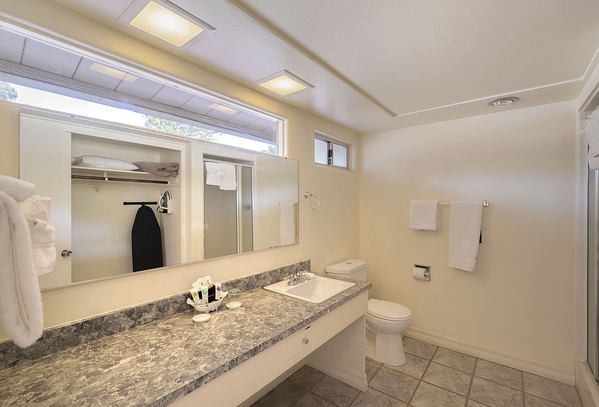Un baño con encimera de mármol, lavabo, inodoro y un espejo grande.