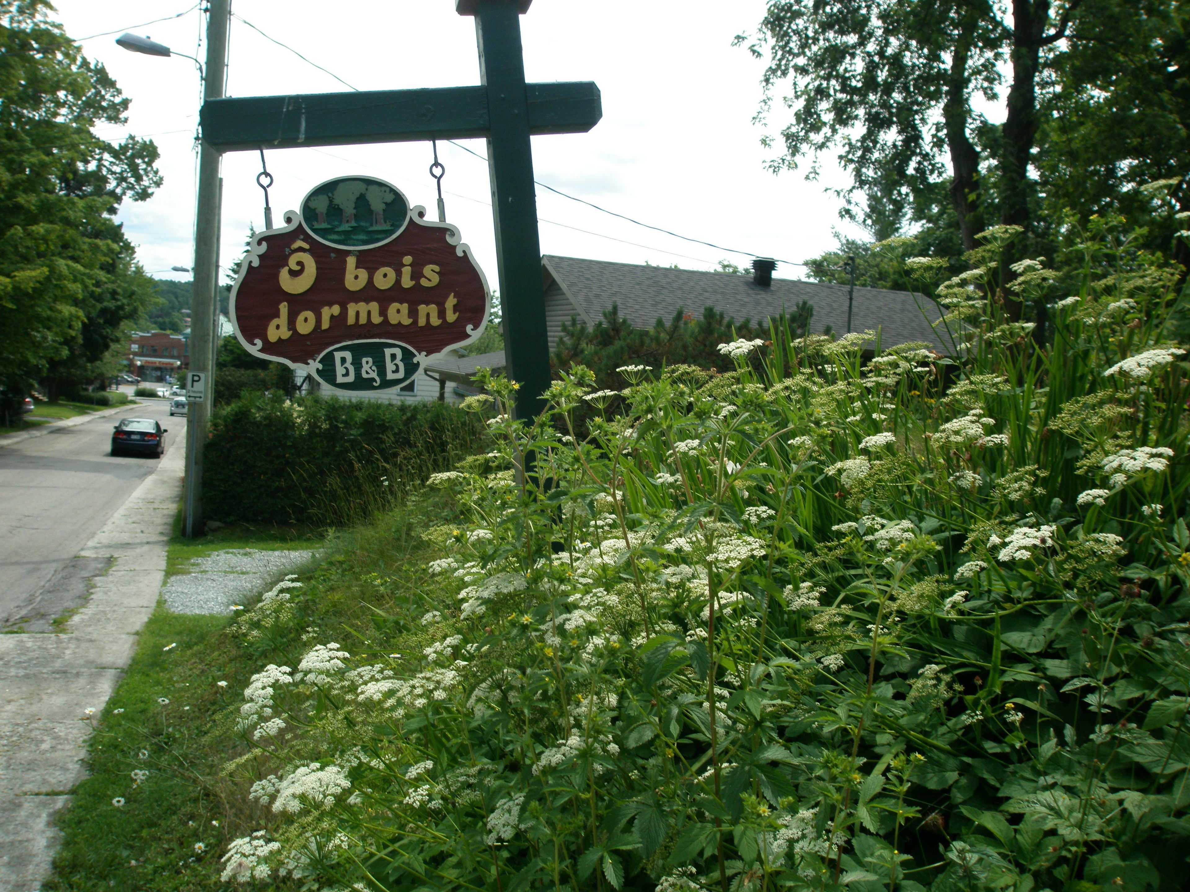 A sign for a B&B with a garden in front.