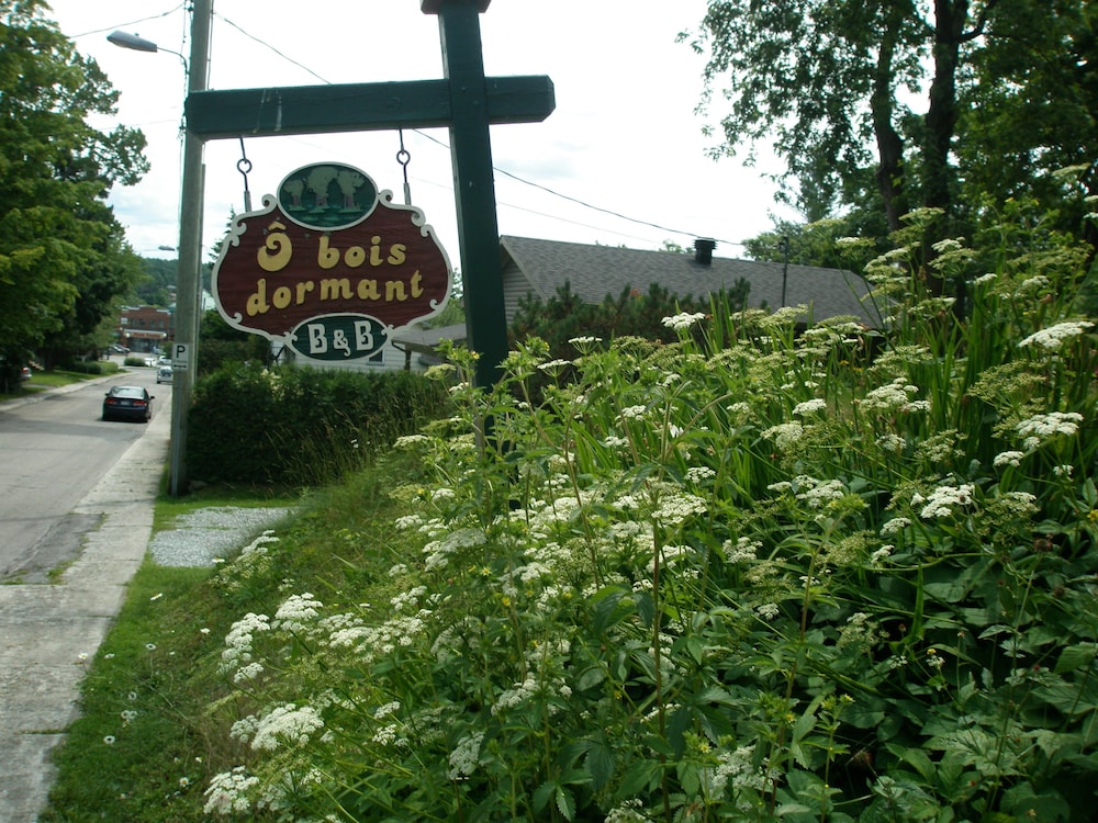 Gite O Bois Dormant by null