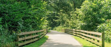 A paved path flanked by wooden fences and lush greenery.