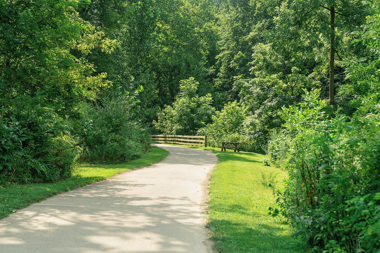 A paved path through a wooded area with a wooden fence and picnic table.