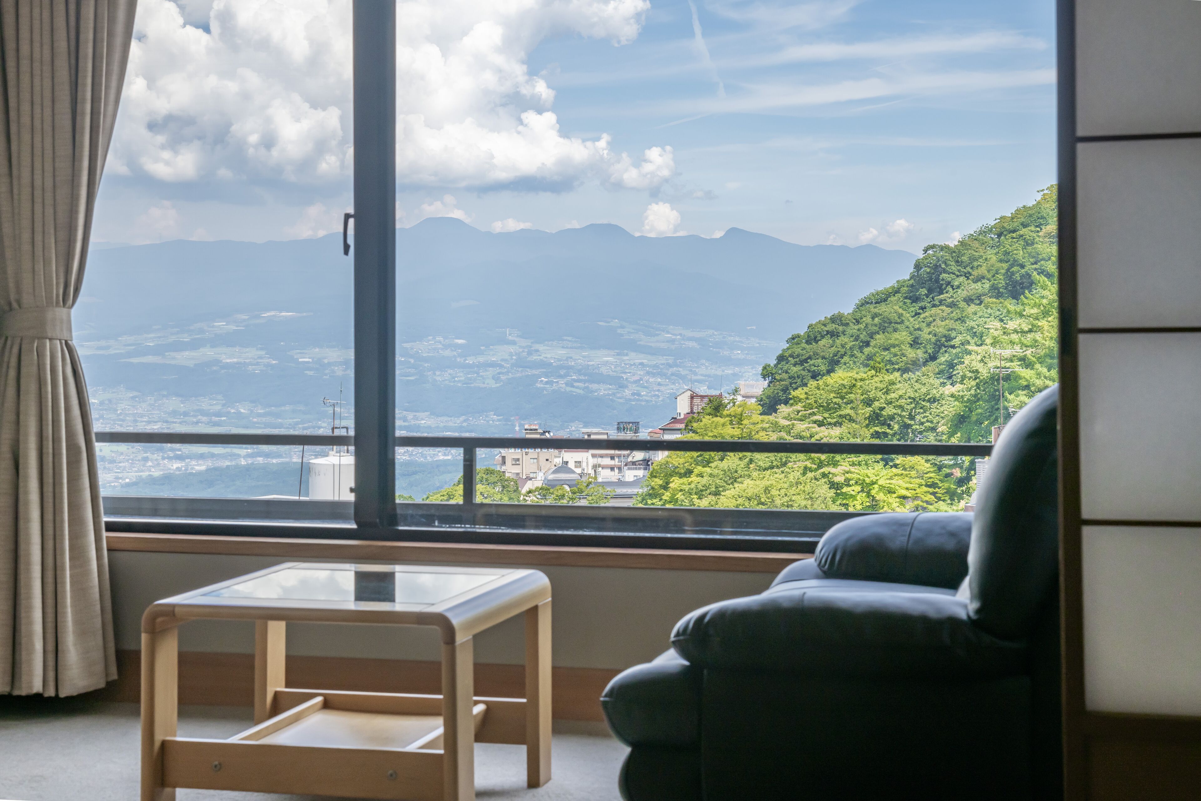 Standard Washitsu (Japanese Style Room)  | View from room