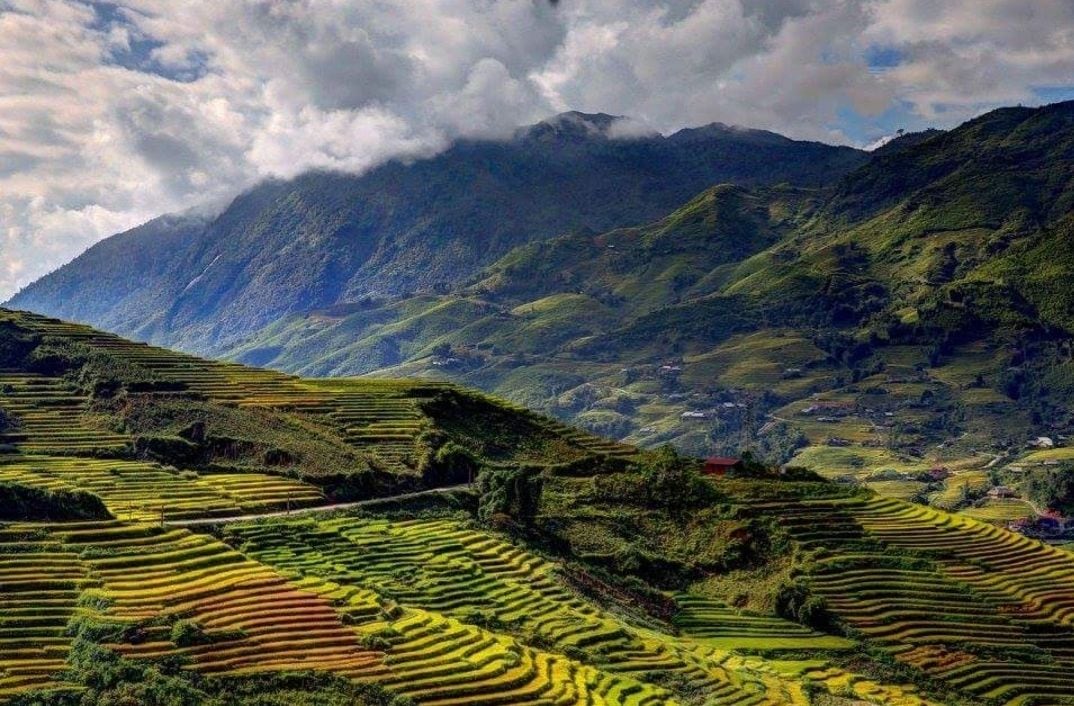 Des terrasses agricoles avec une montagne en arrière-plan.
