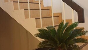 A staircase with wooden steps and a white handrail, leading to an upper floor. A potted plant is placed at the bottom of the stairs. - Asoke Montri Hostel (Bangkok)