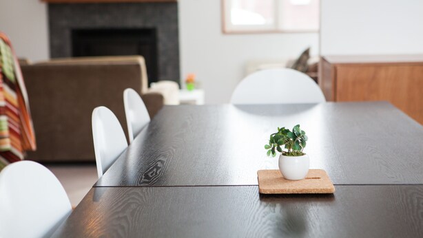 Un'area pranzo moderna con un tavolo in legno scuro, sedie bianche e una piccola pianta in vaso su un sottobicchieri.