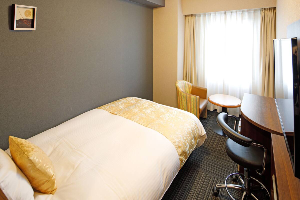 A hotel room with a bed, a desk, a chair, and a television.
