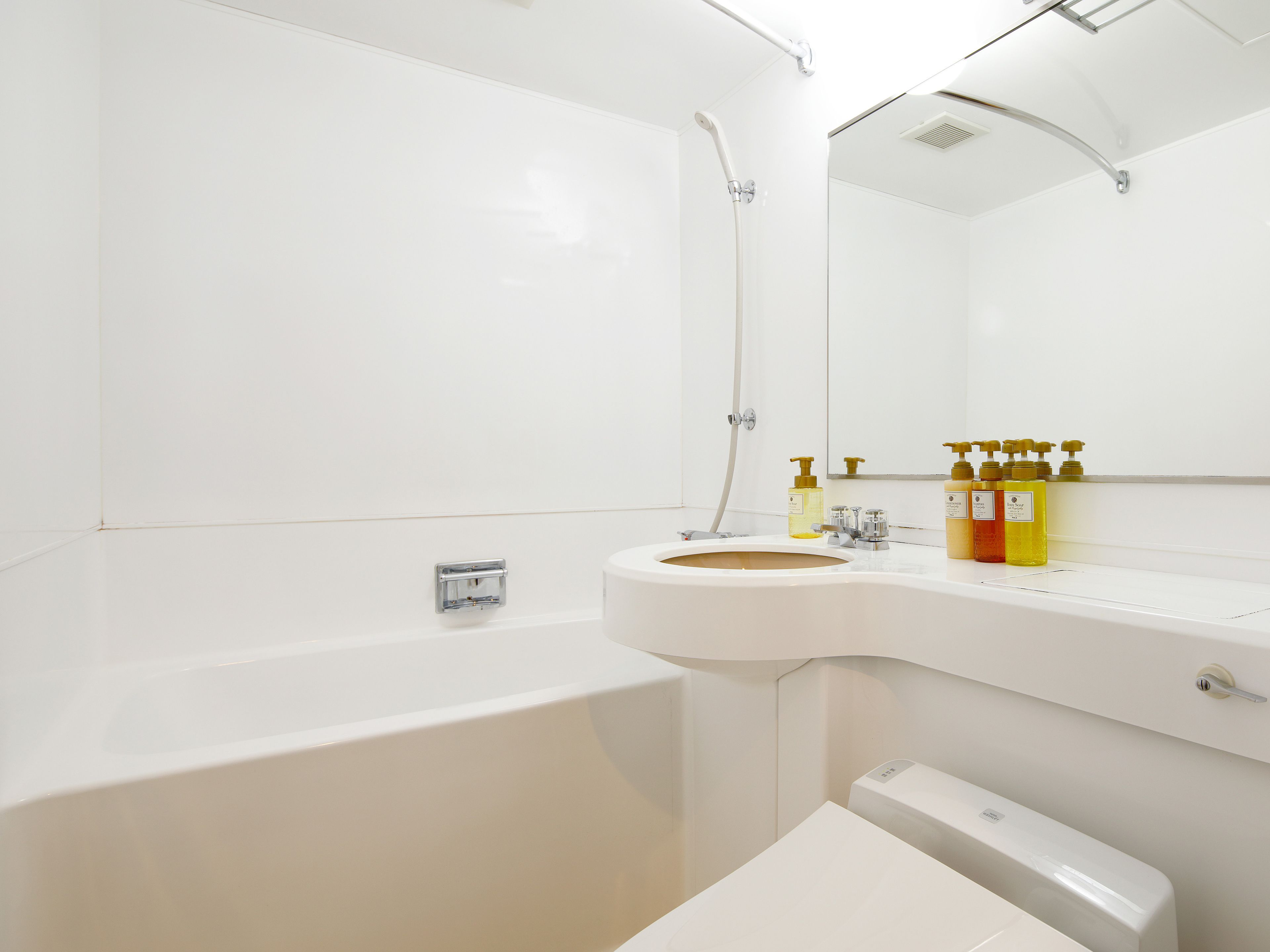 combined shower/bathtub, free toiletries, hair dryer, slippers