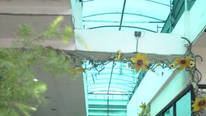 Un pasillo con plantas en macetas, piso de baldosas y techo de cristal.
