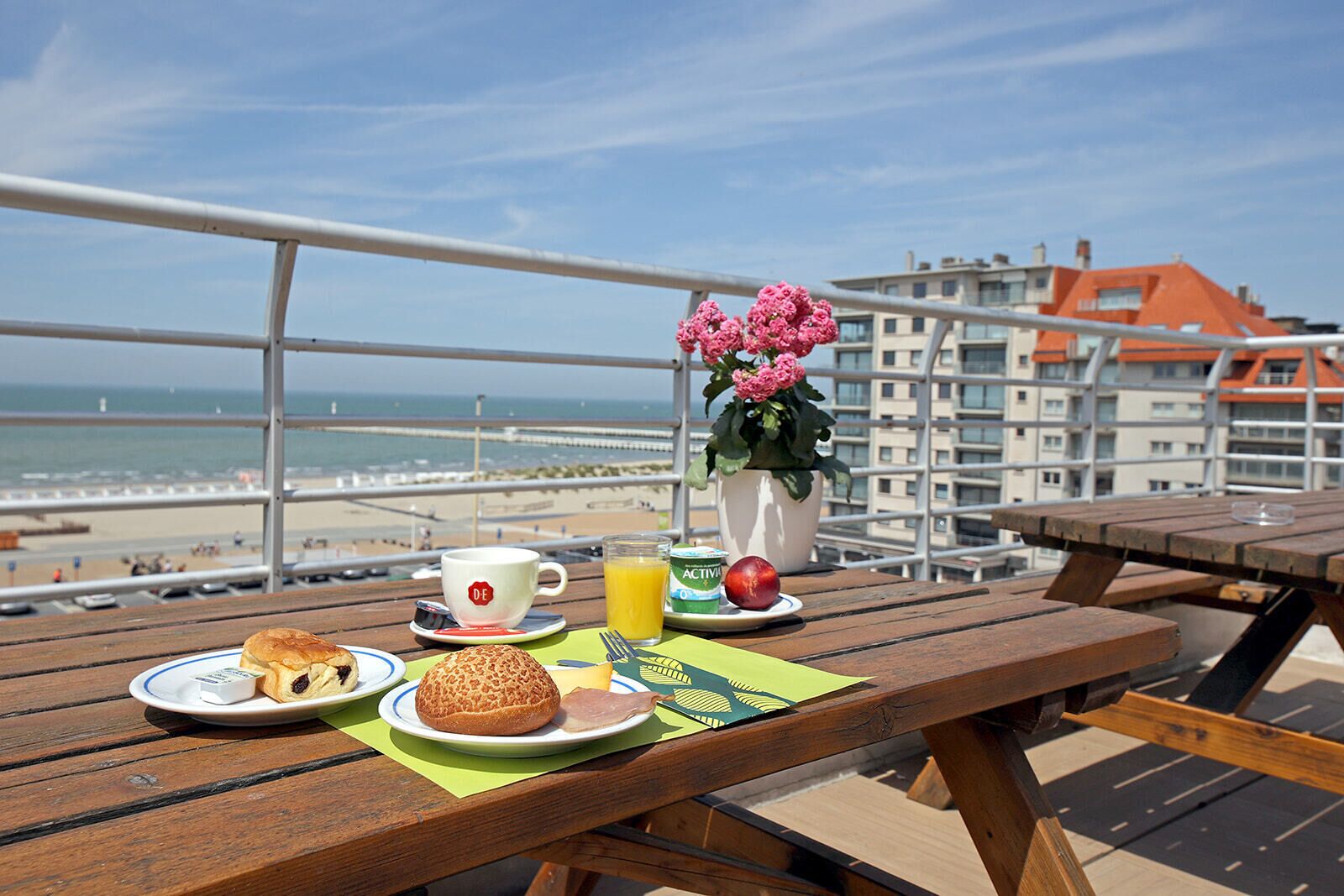 الإطلالة من المنشأة