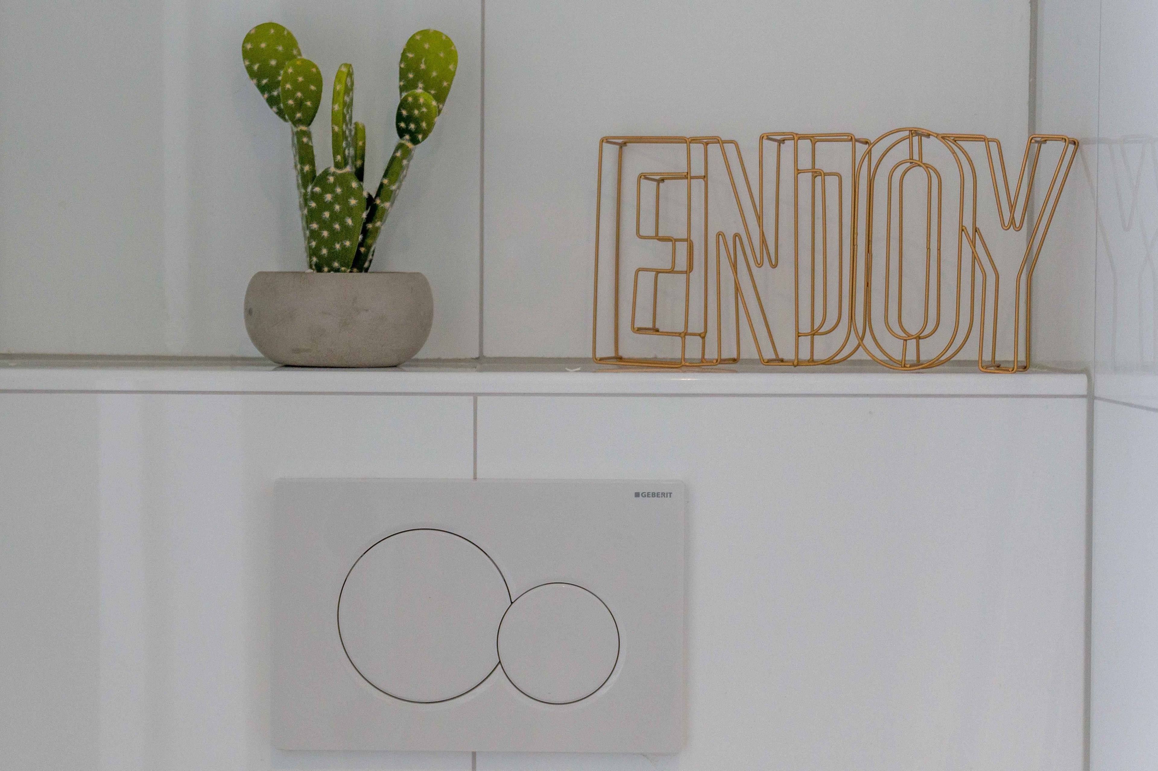 Un mur orné d’un cactus en pot, d’un mot écrit dans un cadre, « PROFITEZ-EN », et du logo GEBERIT sur un mur blanc.