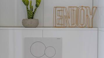 A wall with a potted cactus, a framed word "ENJOY", and a GEBERIT logo on a white wall.