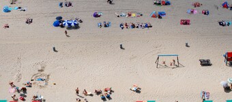 듀인러스트 디쇼크