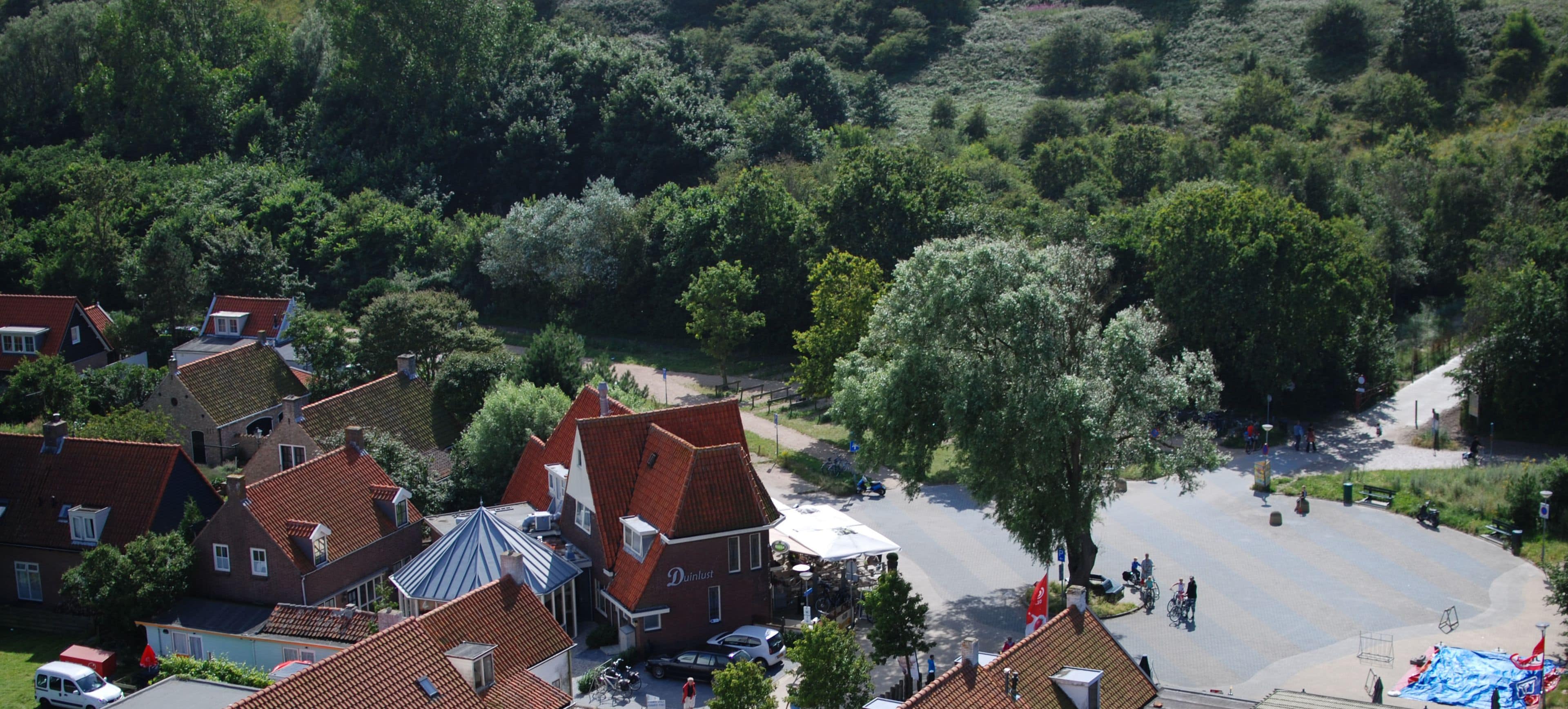 A residential area with traditional houses, a central open space, and a flag.