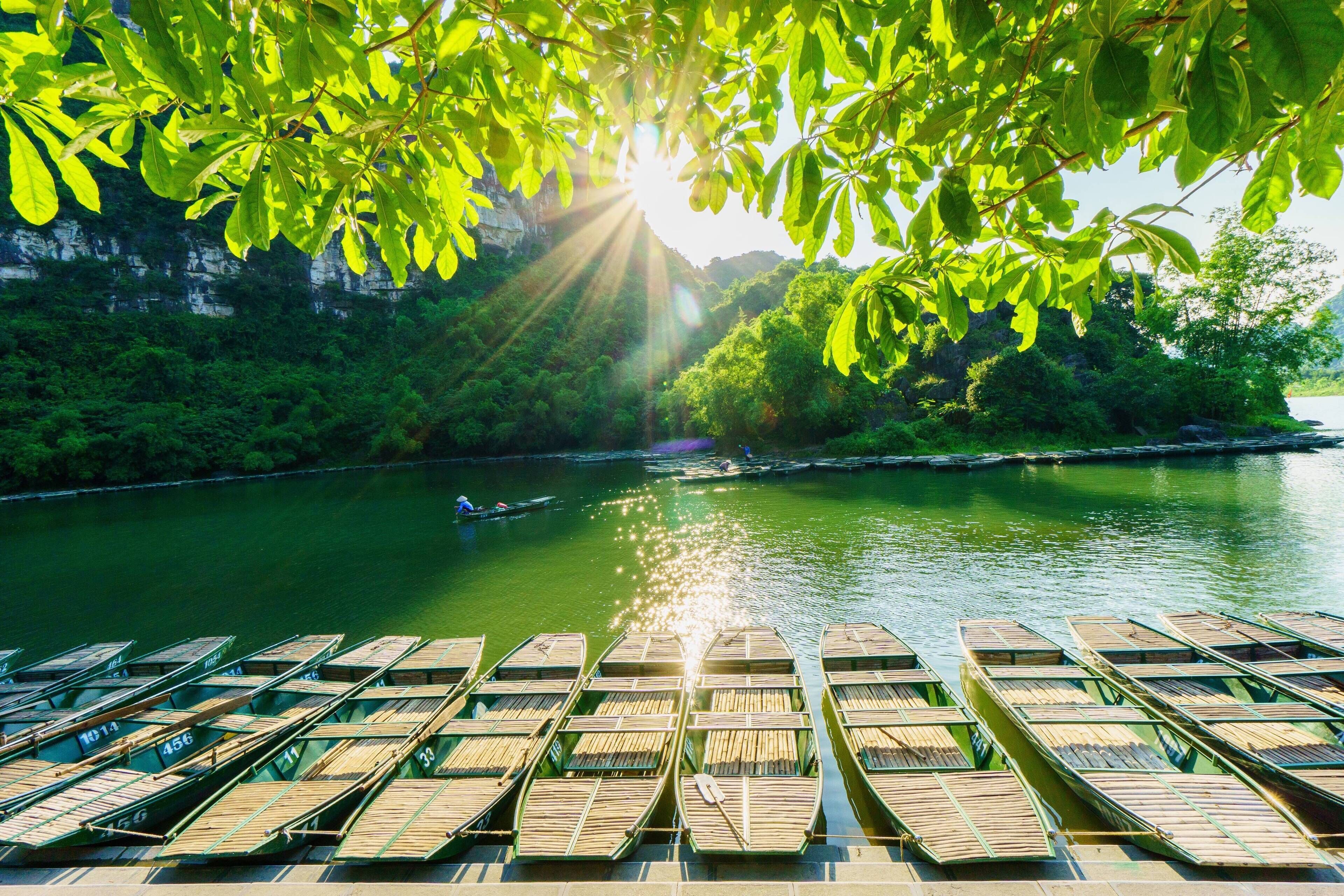 A row of wooden boats docked at a riverside location with a lush green backdrop and sunlight filtering through foliage.