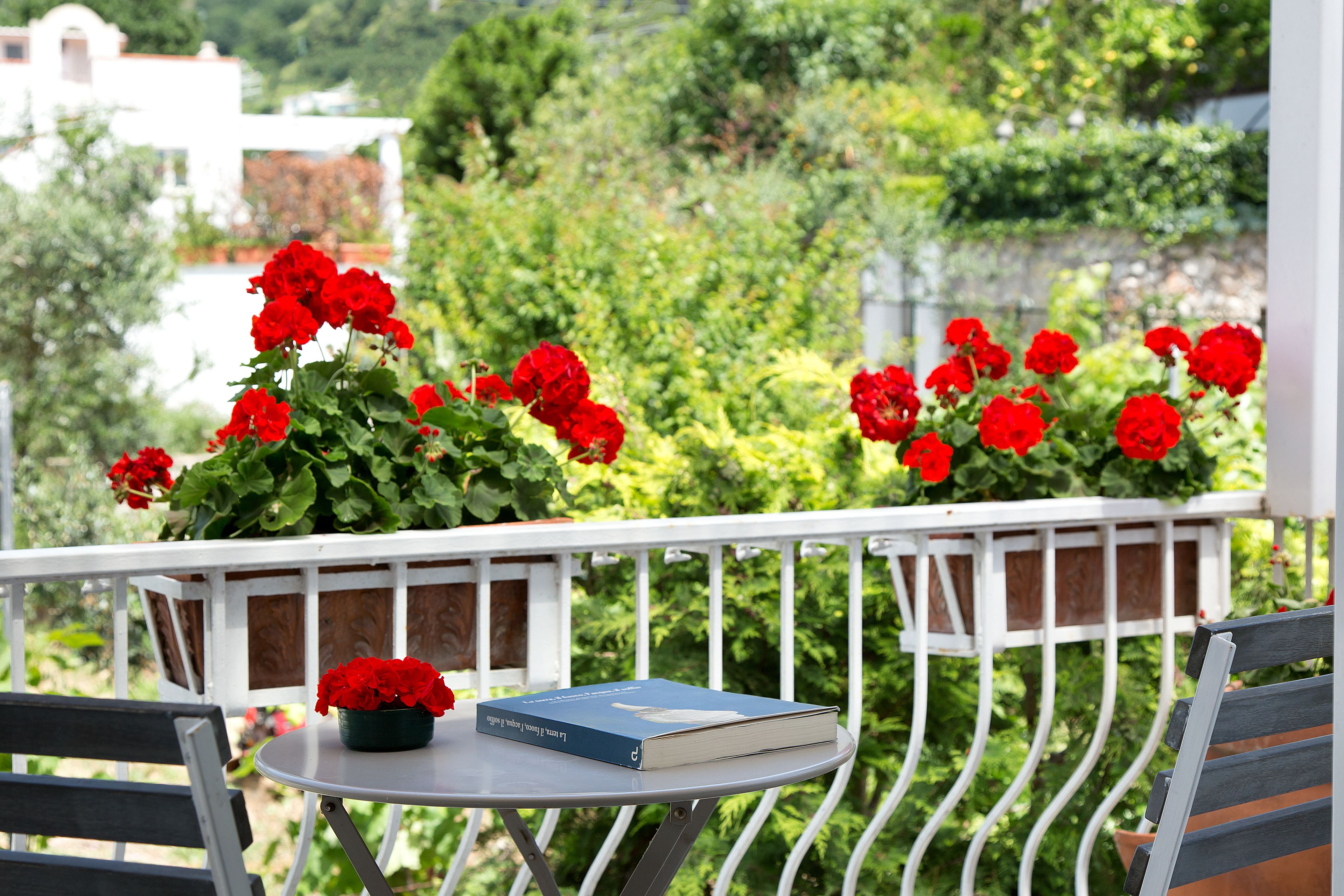 Double Room, Terrace | Balcony