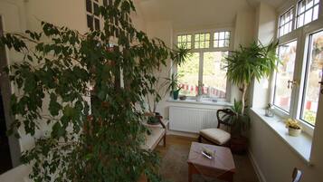 A cozy room with a large plant, a window with a view, a radiator, and a chair.