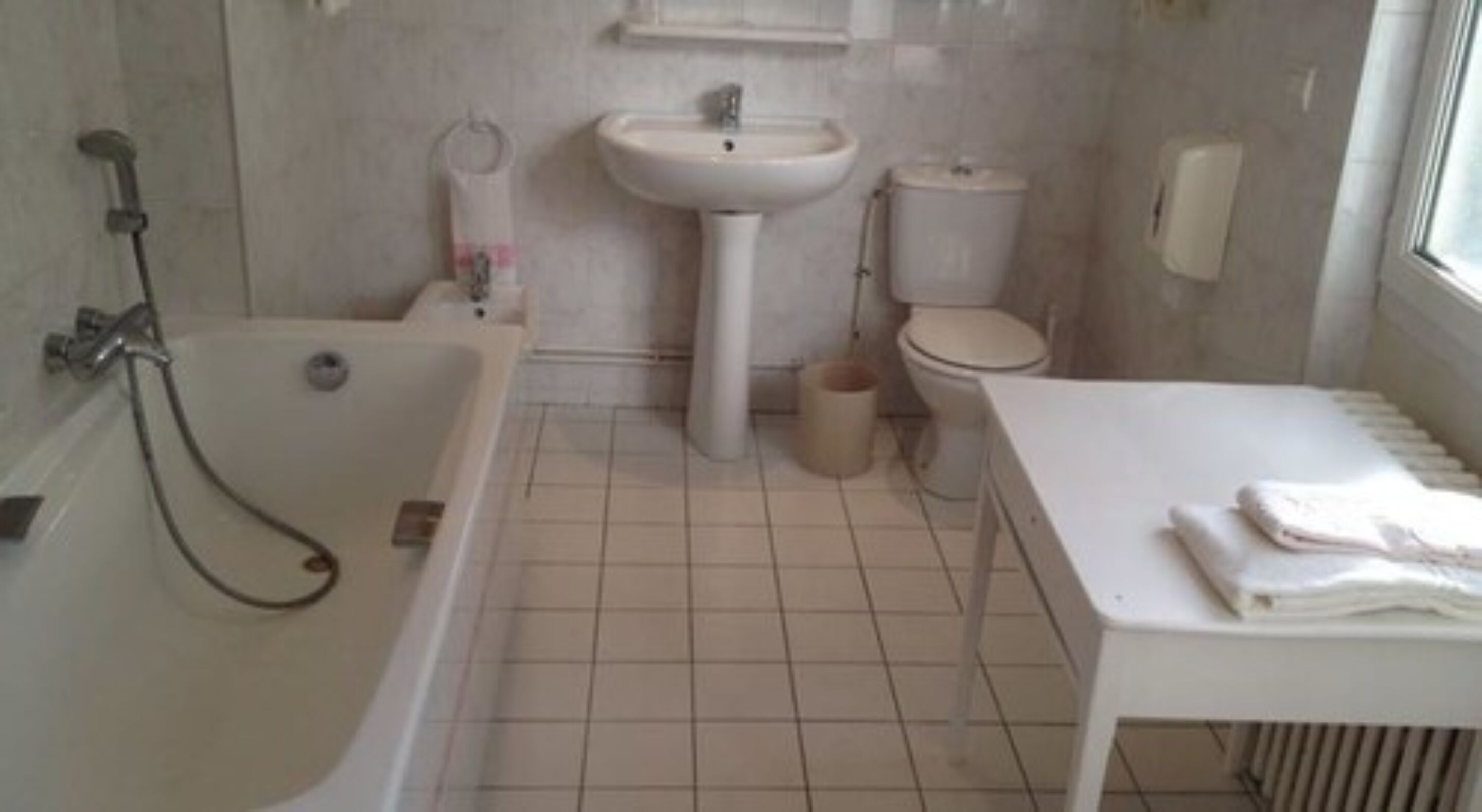 standard double room, bathtub | bathroom | free toiletries, hair dryer, towels