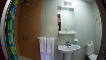 Shower, free toiletries, towels