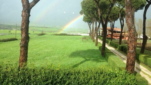A grassy field with trees and a rainbow.
