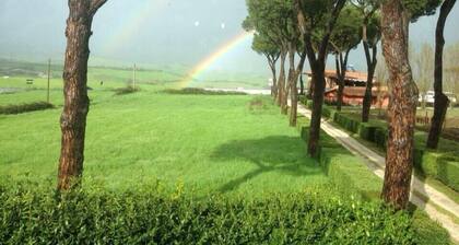 Tenuta Terre dei Latini