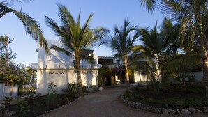 A pathway leading to a white building with a decorative entrance, surrounded by palm trees and a gravel driveway.