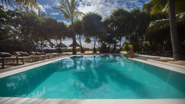 A swimming pool surrounded by palm trees and lounge chairs.