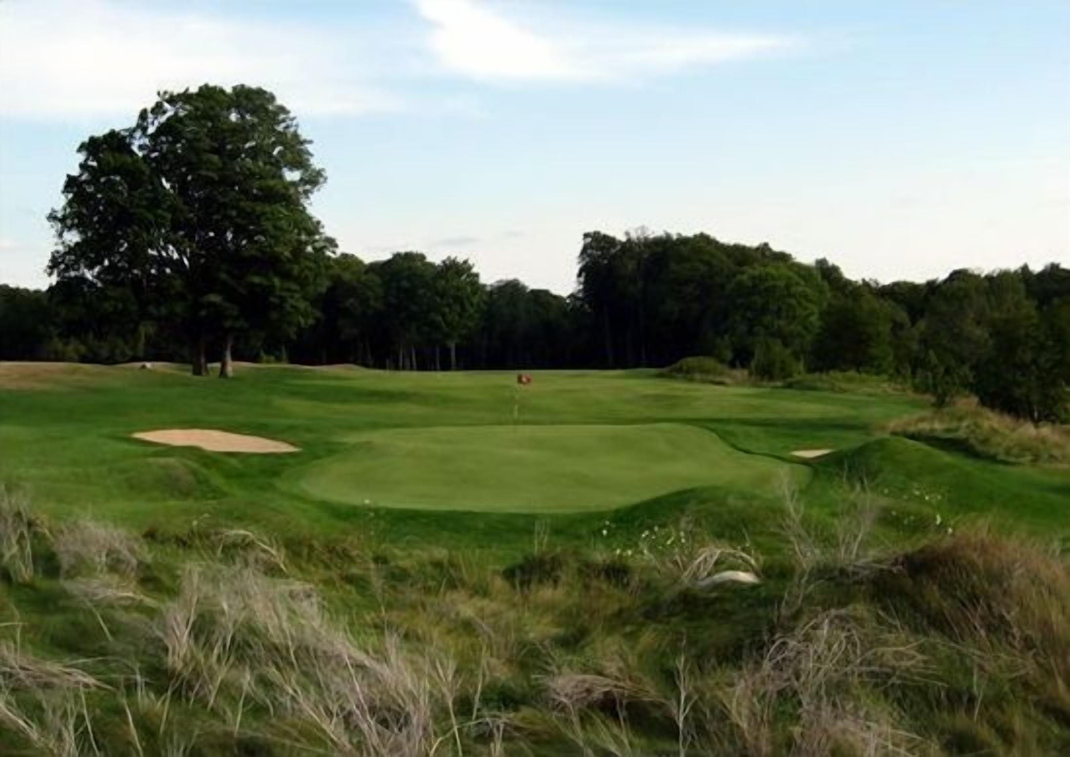 A golf course with a clear sky, a large tree, and a flag on the green.
