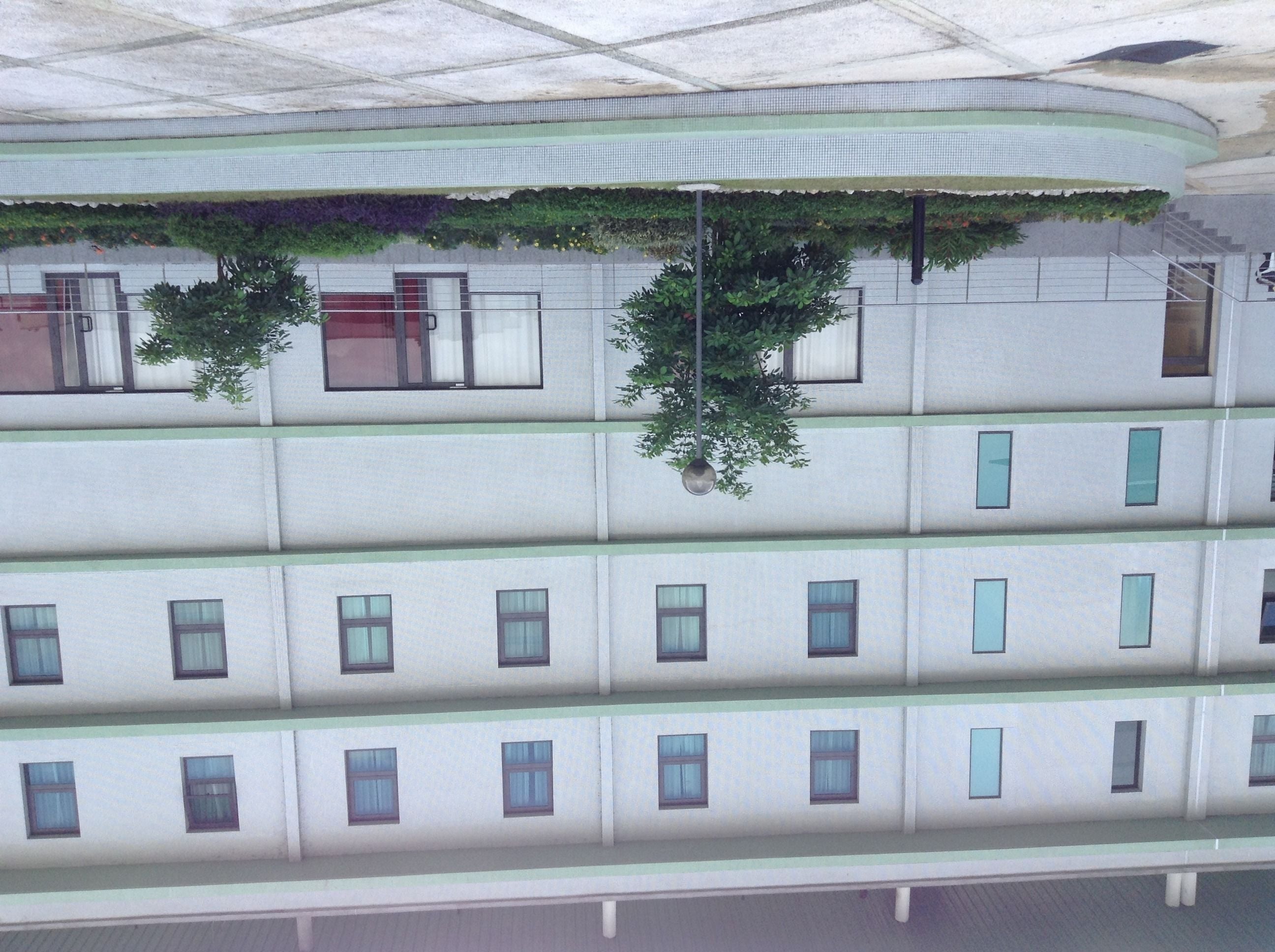 Foto - Palm Club Hotel