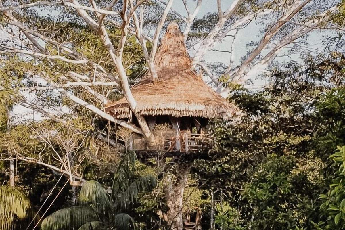 Treehouse 8-The Cradle