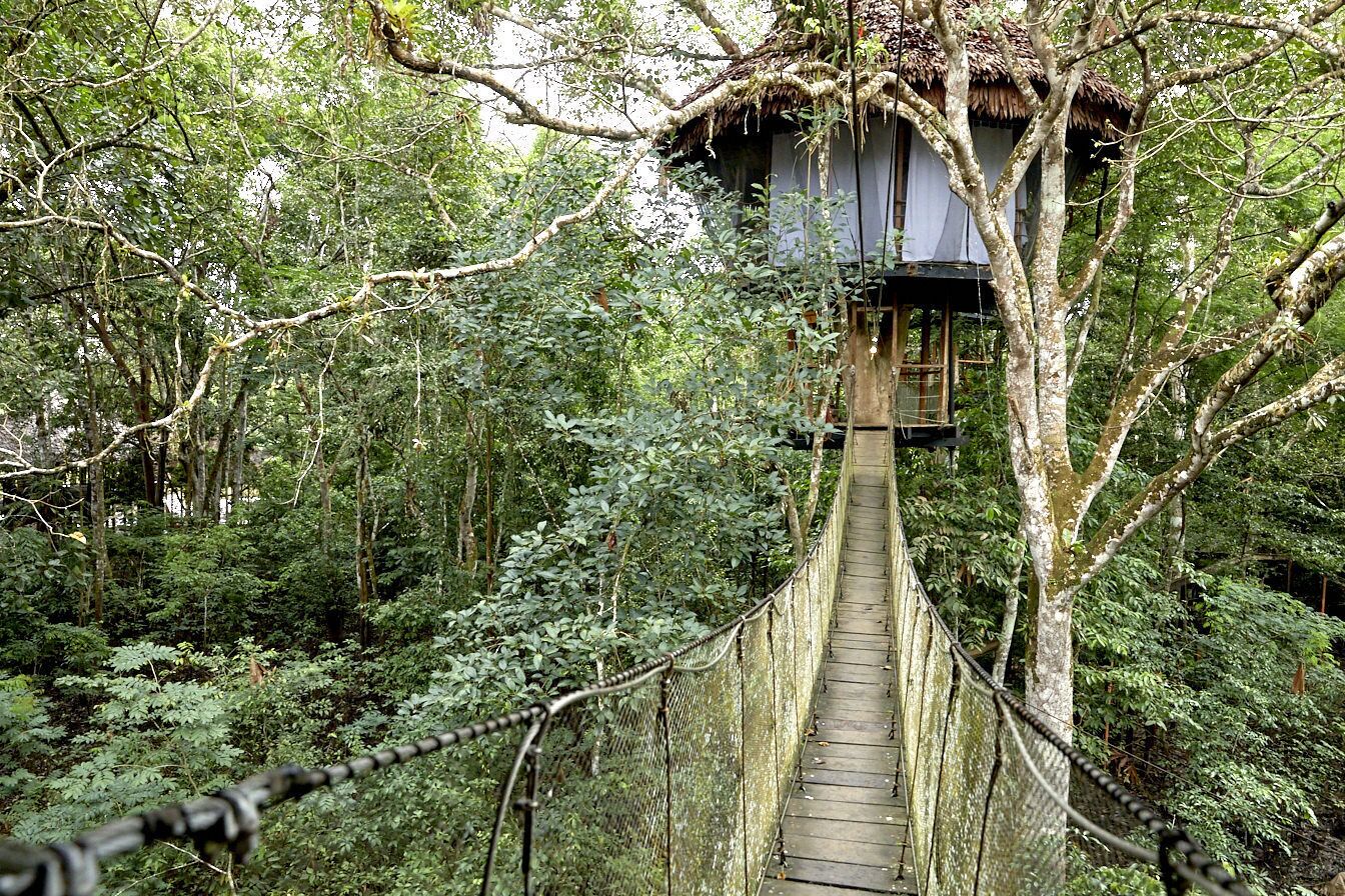 樹屋民宿 TREE HOUSE評價、特色體驗、房價資訊、訂房連結 – 溫馨寵物友善渡假選擇 - 照片 7