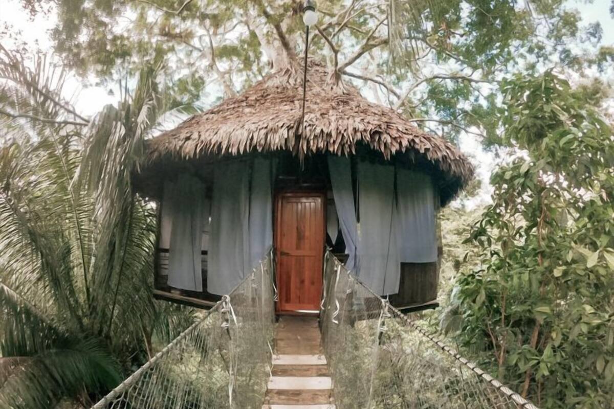 Treehouse 12-Soledad