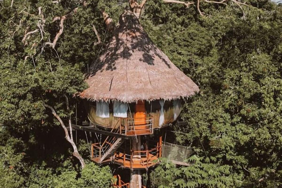 Treehouse 3-Rio-Vista