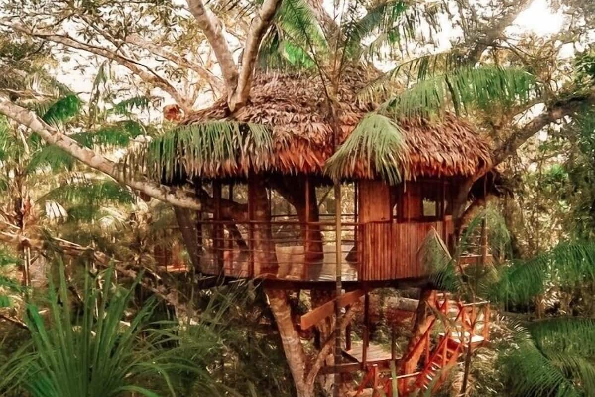 Treehouse 4-Casa Grande