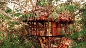 Treehouse 4-Casa Grande | 1 makuuhuone, yksilöllisesti sisustettu, yksilöllisesti kalustettu