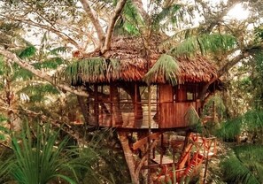 Treehouse 4-Casa Grande