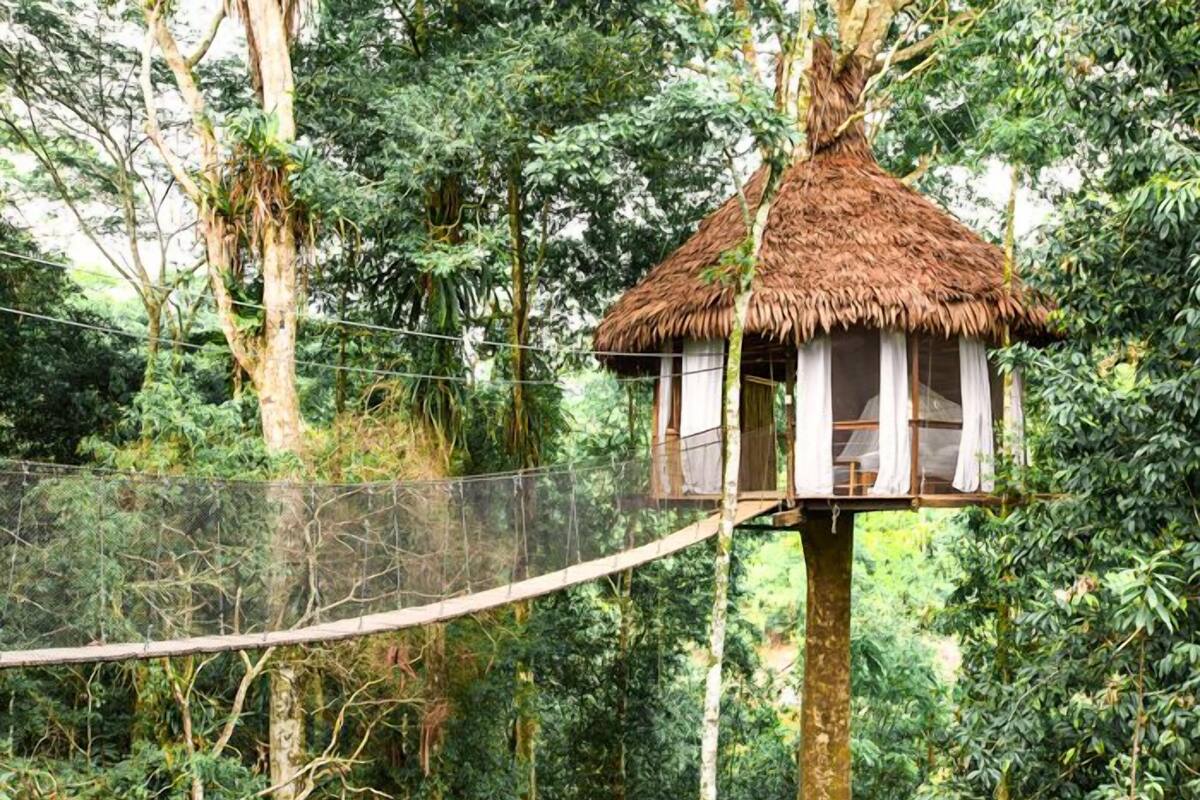 Treehouse 10-Costa Bella