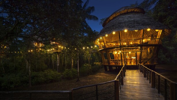 A wooden structure with a thatched roof, surrounded by trees and illuminated by string lights. - Treehouse Lodge (Saquena)