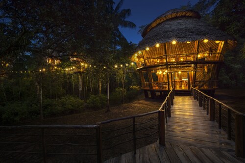 Treehouse Lodge
