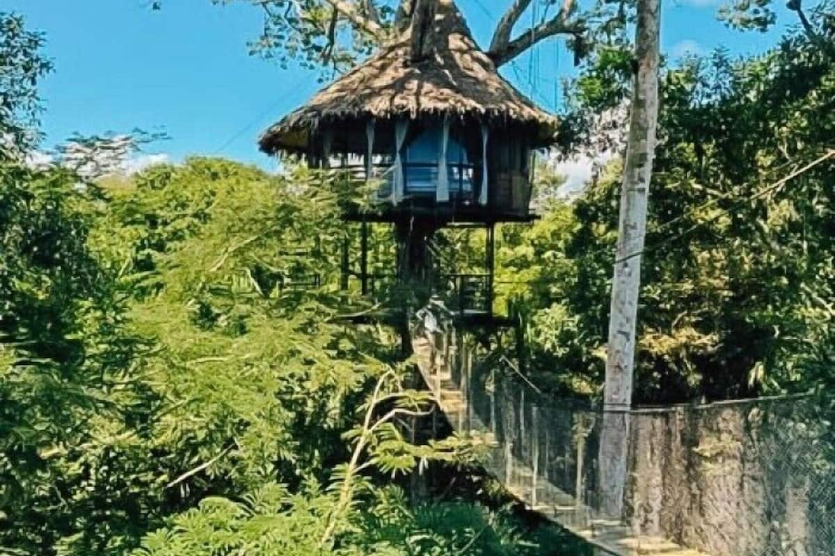 Treehouse 11-Wimba House