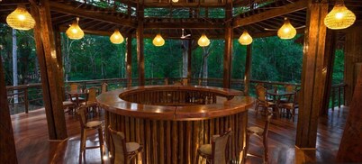 Treehouse Lodge