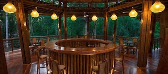 Treehouse Lodge