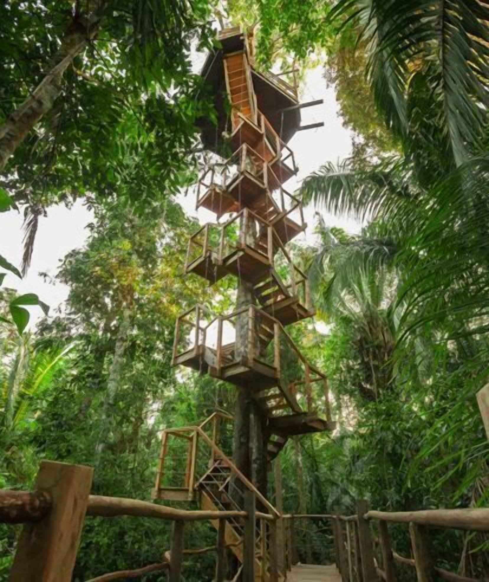 樹屋民宿 TREE HOUSE評價、特色體驗、房價資訊、訂房連結 – 溫馨寵物友善渡假選擇 - 照片 5