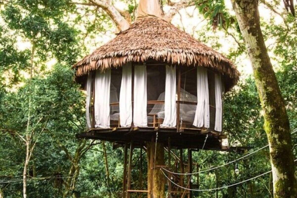 Treehouse 9-Serena