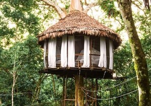 Treehouse 9-Serena