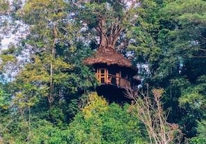 Treehouse 10-Costa Bella | 1 Schlafzimmer, individuell dekoriert, individuell eingerichtet